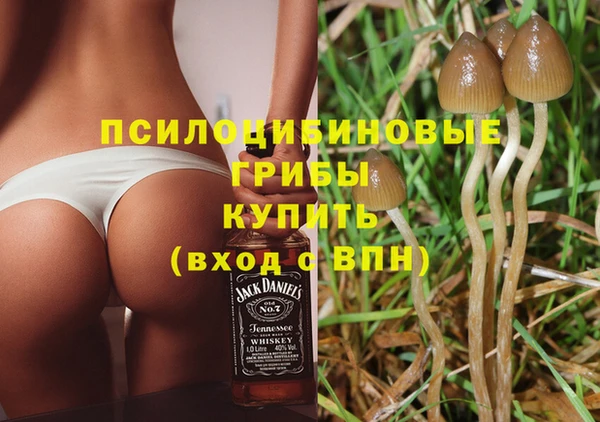 MDMA Premium VHQ Заводоуковск