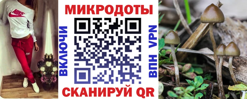 Купить  Исилькуль  Галлюциногенные грибы прущие грибы 